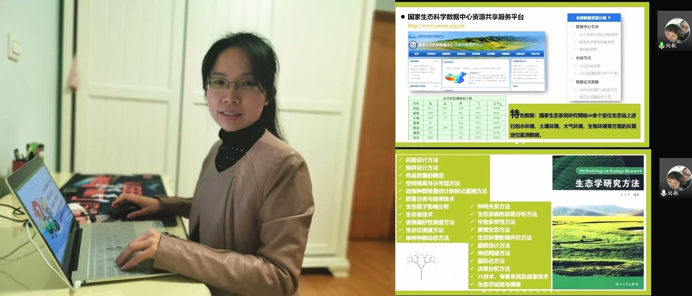 initpintu_副本